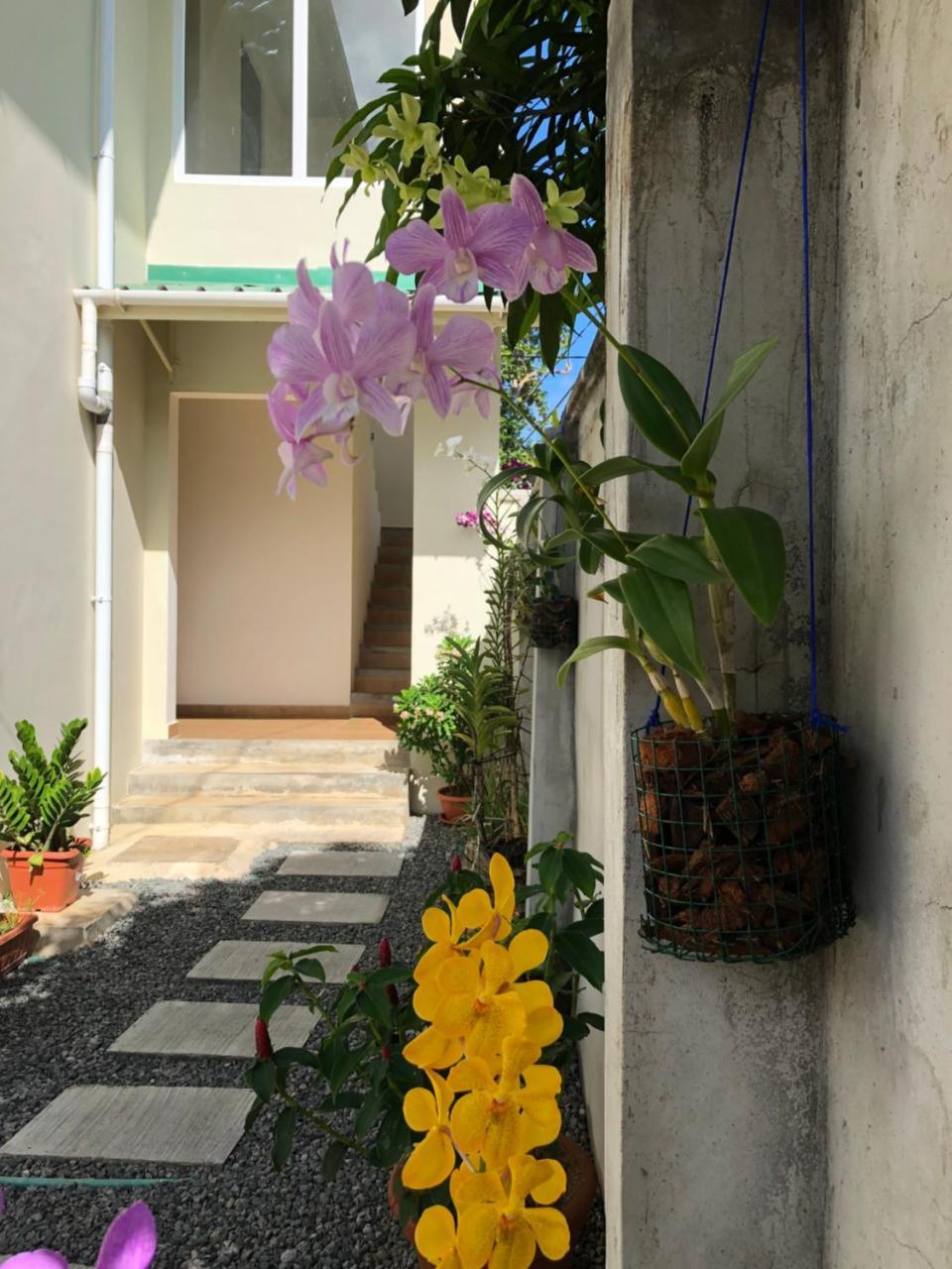 Flower Garden Self-Catering Apartments Beau Vallon  Exterior photo