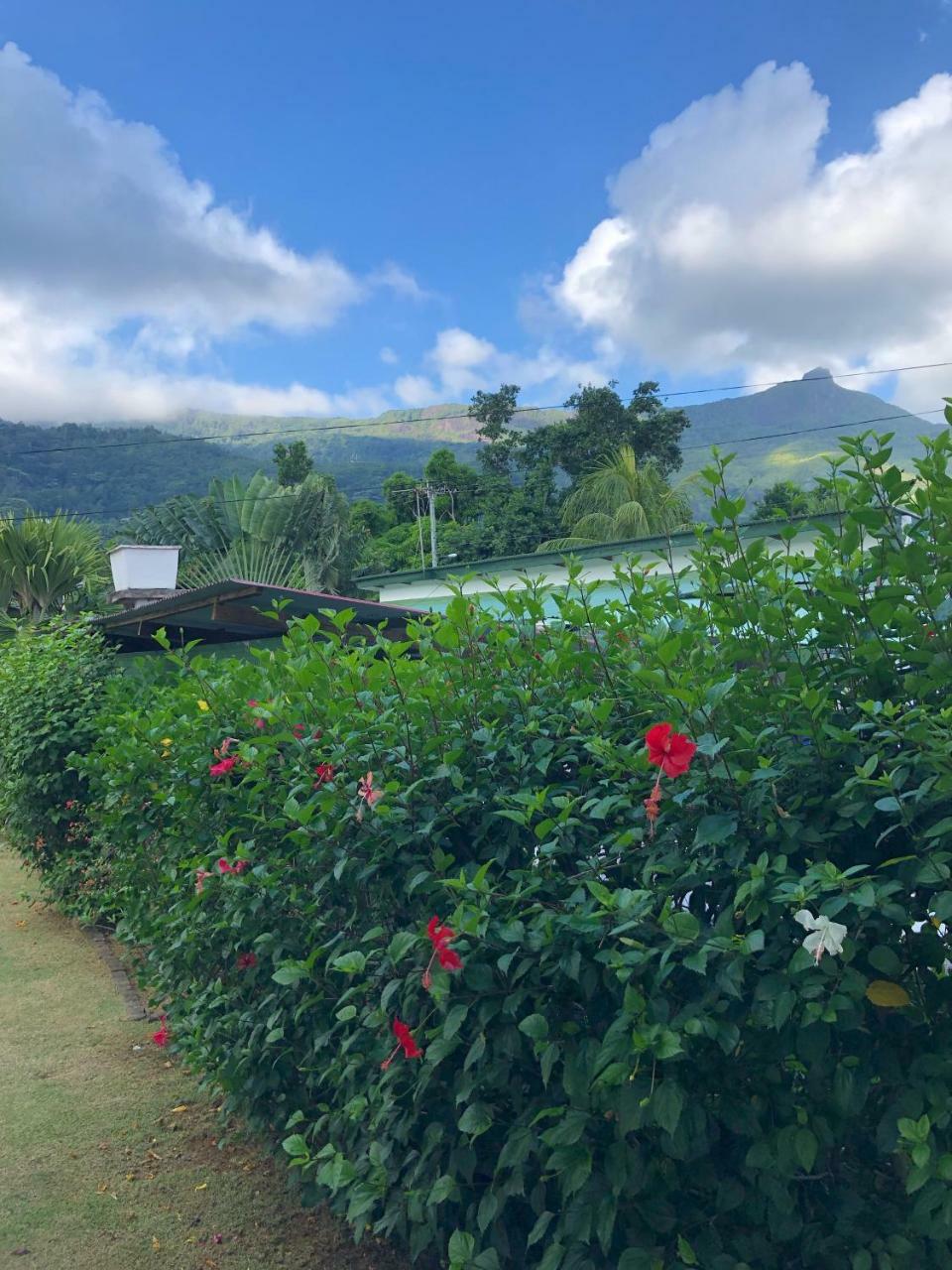 Flower Garden Self-Catering Apartments Beau Vallon  Exterior photo